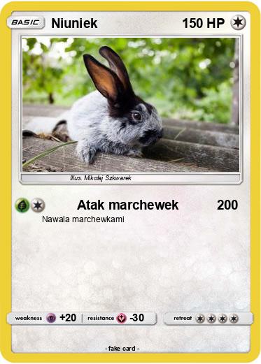 Pokemon Niuniek