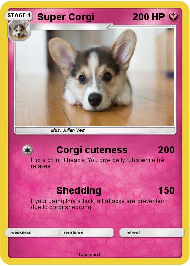 Pokemon Super Corgi