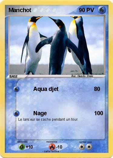 Pokemon Manchot