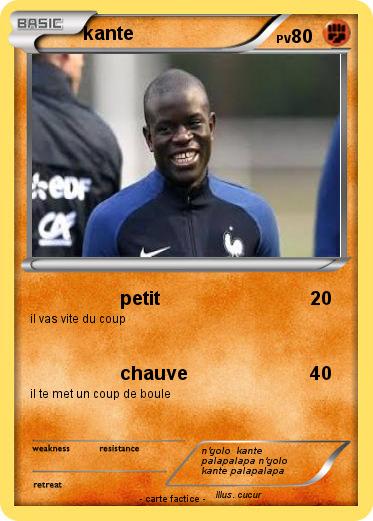 Pokemon kante