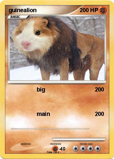 Pokemon guinealion