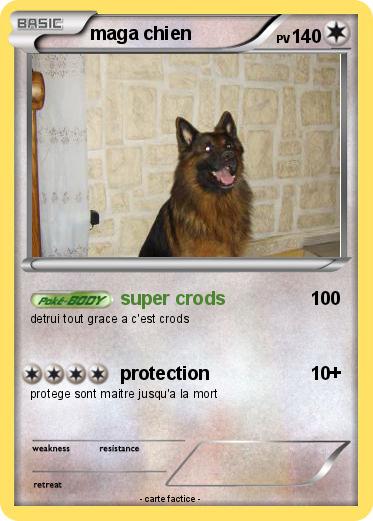 Pokemon maga chien