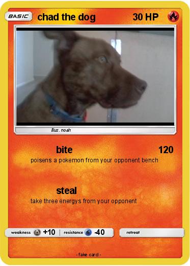 Pokemon chad the dog