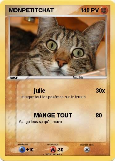 Pokemon MONPETITCHAT