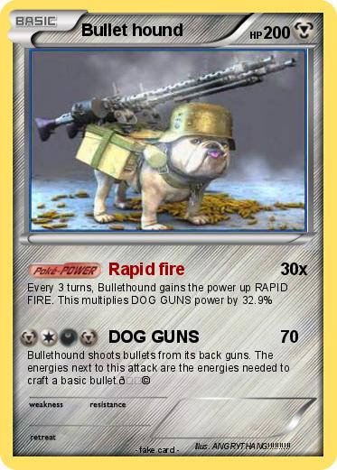 Pokemon Bullet hound