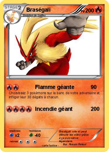 Pokemon Braségali
