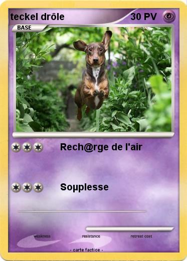 Pokemon teckel drôle