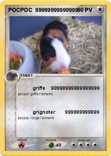 Pokemon POCPOC  99999999999999