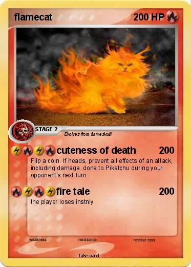 Pokemon flamecat