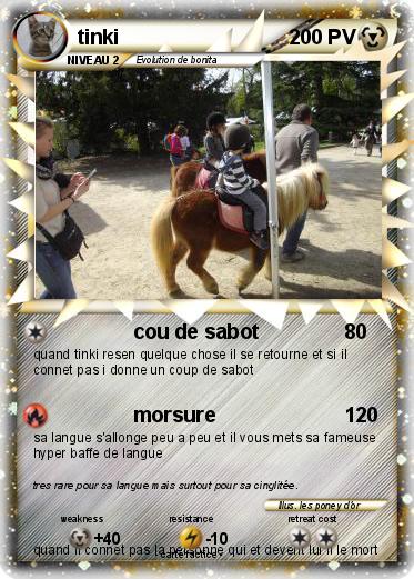 Pokemon tinki