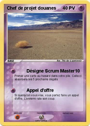 Pokemon Chef de projet douanes