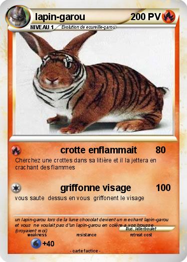 Pokemon lapin-garou