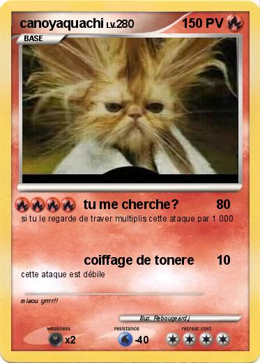 Pokemon canoyaquachi