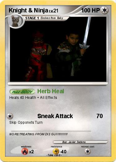 Pokemon Knight & Ninja