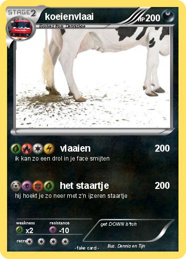 Pokemon koeienvlaai