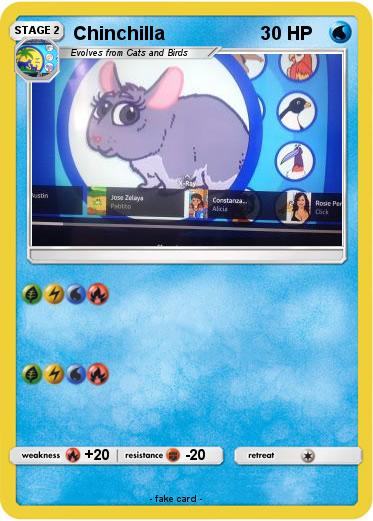 Pokemon Chinchilla