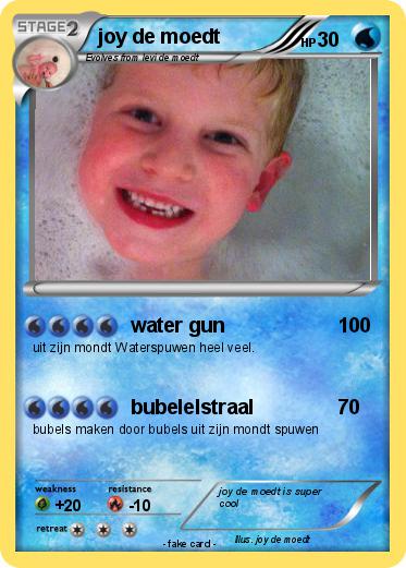 Pokemon joy de moedt