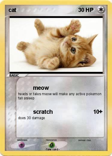 Pokemon cat