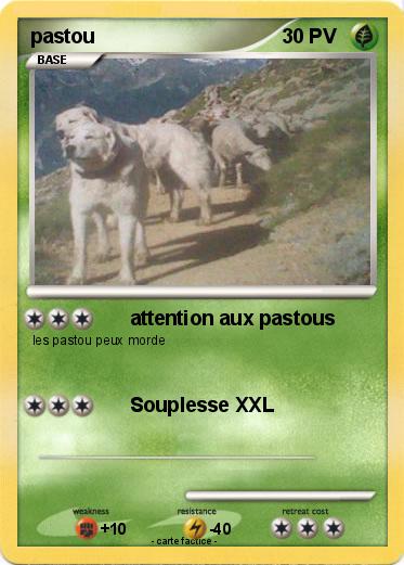 Pokemon pastou