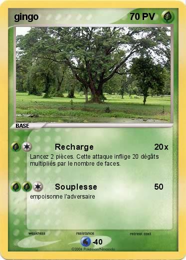 Pokemon gingo