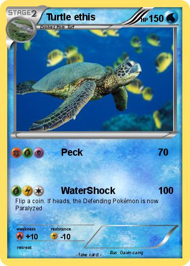 Pokemon Turtle ethis