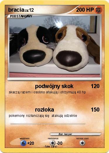Pokemon bracia