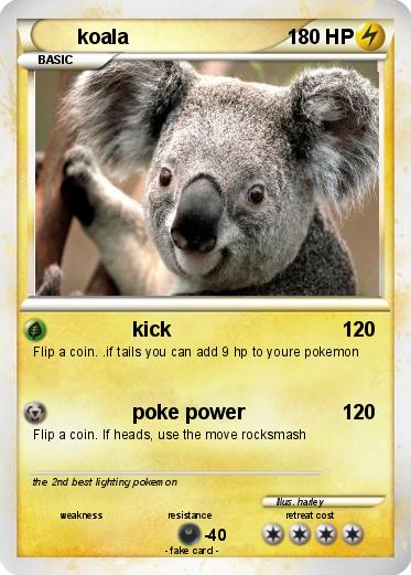 Pokemon koala