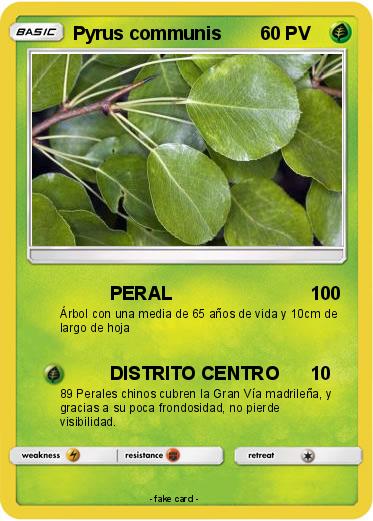 Pokemon Pyrus communis