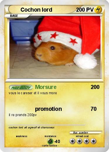 Pokemon Cochon lord