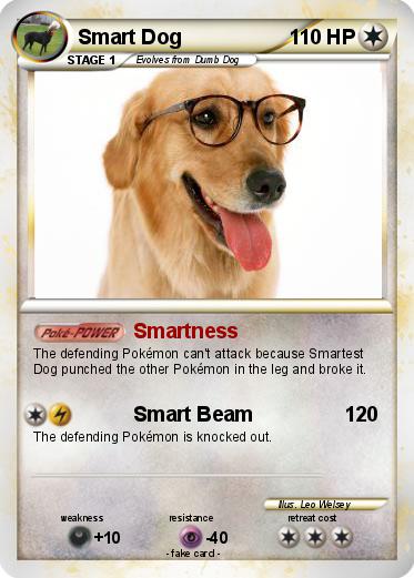 Pokemon Smart Dog