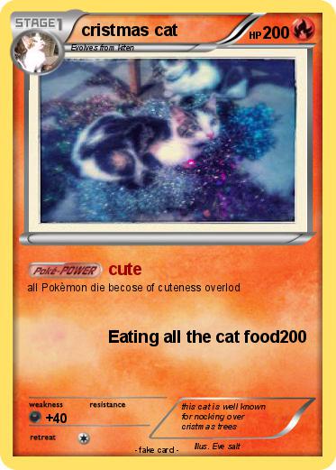 Pokemon cristmas cat