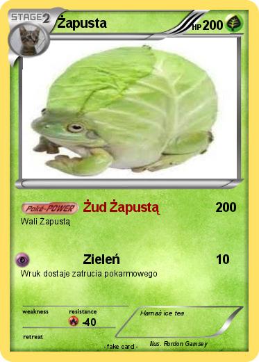 Pokemon Żapusta