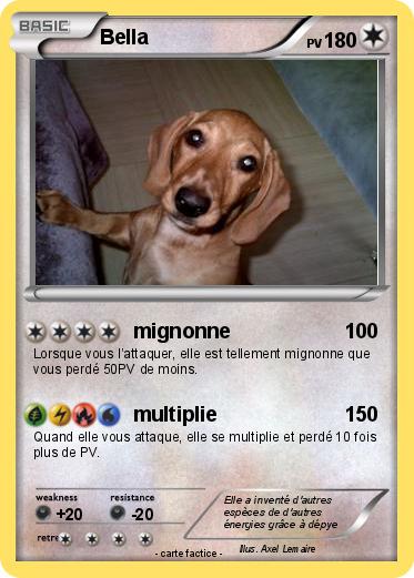 Pokemon Bella