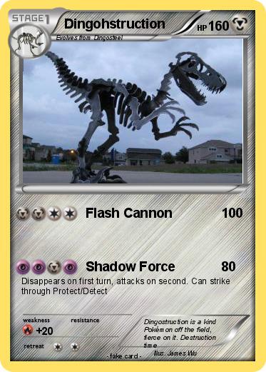 Pokemon Dingohstruction