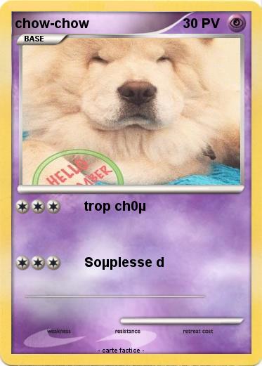 Pokemon chow-chow