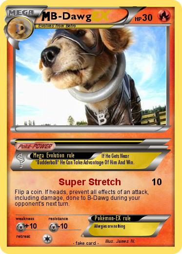 Pokemon B-Dawg