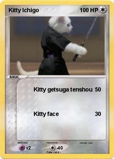 Pokemon Kitty Ichigo