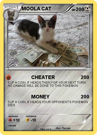 Pokemon MOOLA CAT