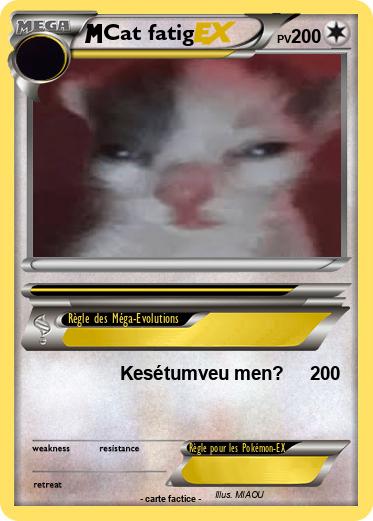 Pokemon Cat fatig
