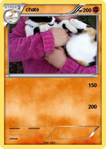 Pokemon chate