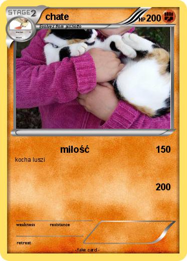 Pokemon chate