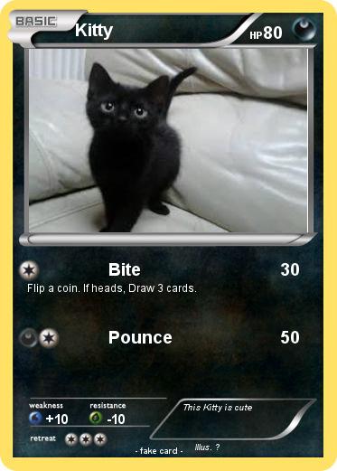 Pokemon Kitty