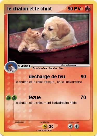 Pokemon le chaton et le chiot