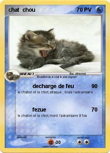 Pokemon chat  chou