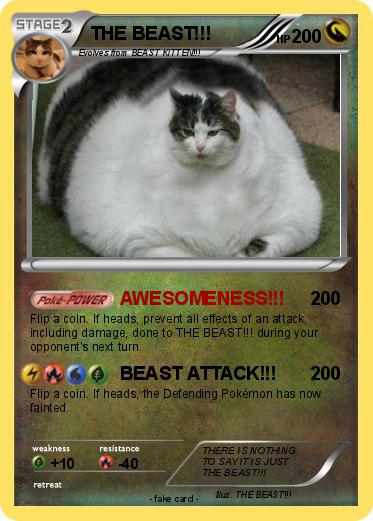 Pokemon THE BEAST!!!