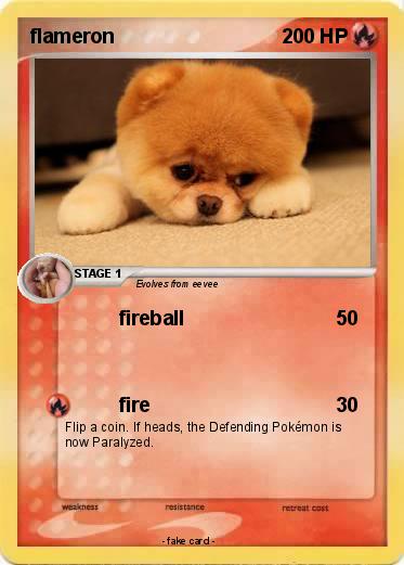 Pokemon flameron