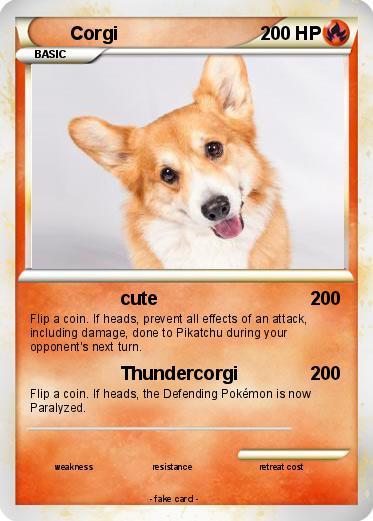 Pokemon Corgi