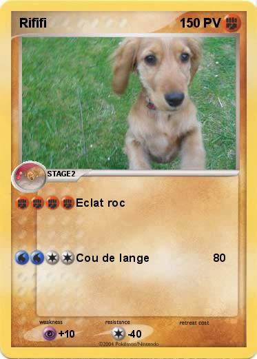 Pokemon Rififi
