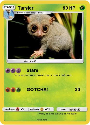 Pokemon Tarsier