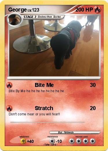 Pokemon George